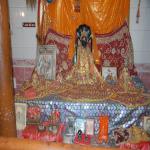 Vraj-Yatra-2014- (892)